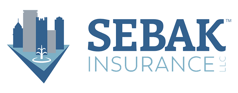 Sebak Insurance LLC - Logo 800